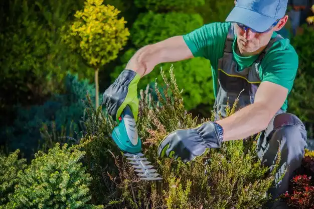landscaping services Red Creek